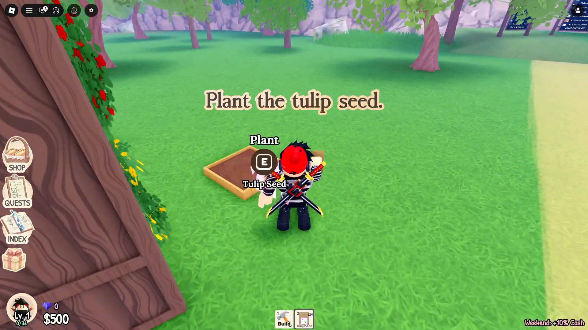 A player planting a tulip seed beside the flower shop in My Flower Shop